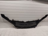 Radiator Grille